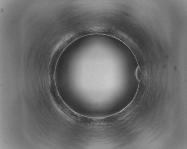 X0000073710734200608031239