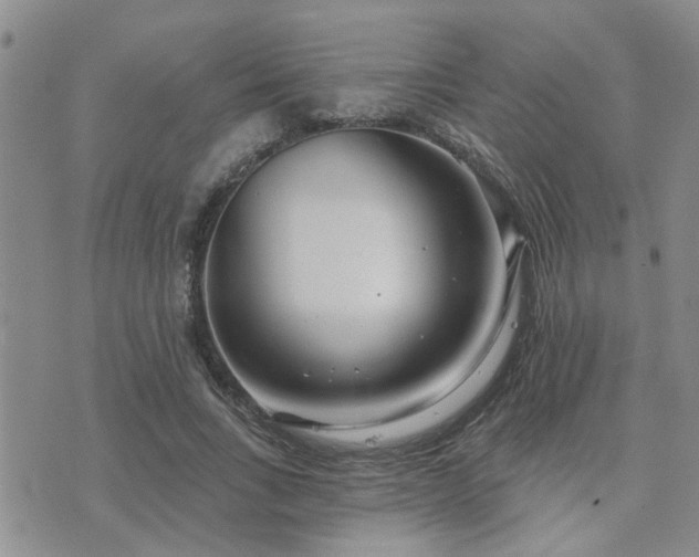 X0000073710735200608031239