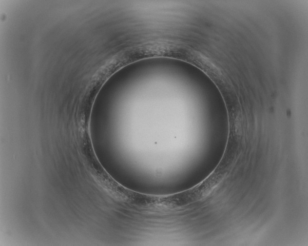 X0000073710737200608031239