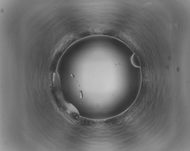 X0000073710738200608031239