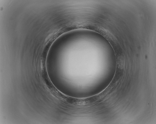 X0000073710740200608031239