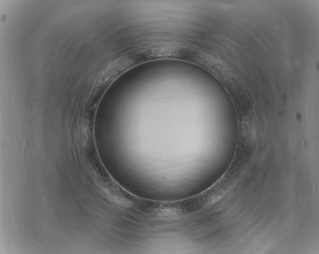 X0000073710741200608031239