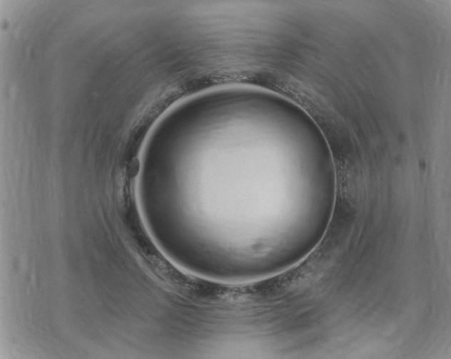 X0000073710742200608031239