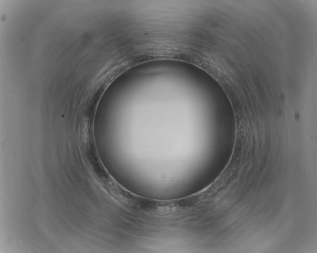 X0000073710744200608031239