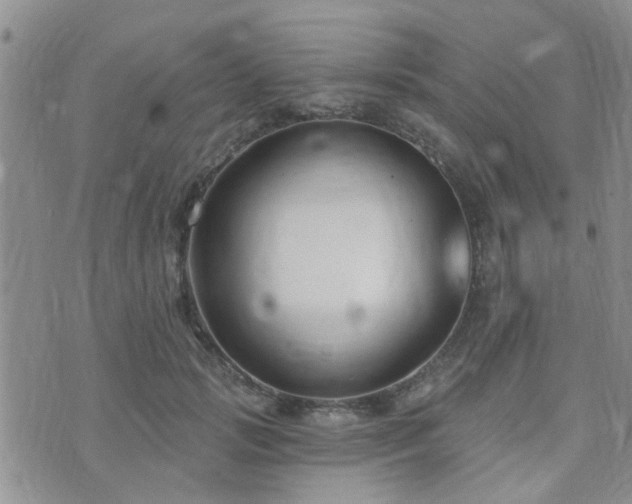 X0000073710749200608031239