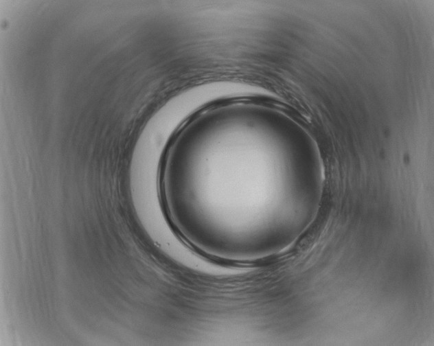 X0000073710750200608031239