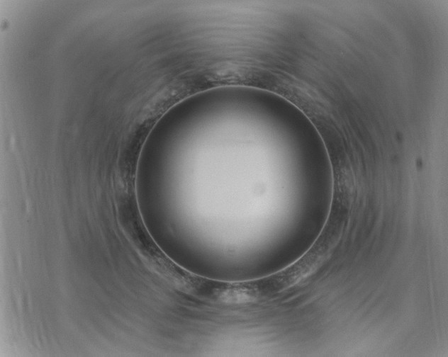 X0000073710751200608031239