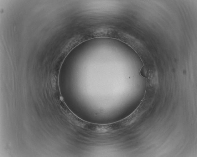 X0000073710753200608031239