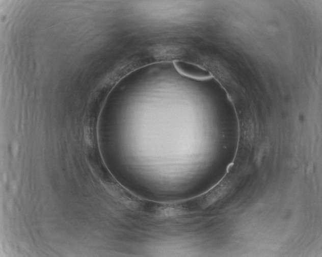 X0000073710755200608031239