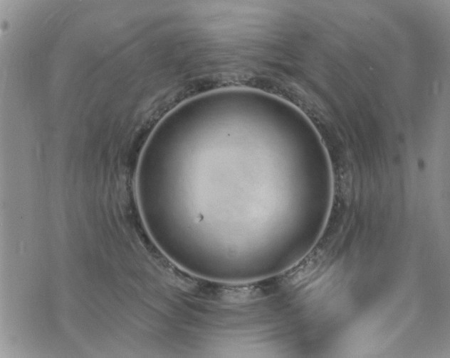 X0000073710757200608031239