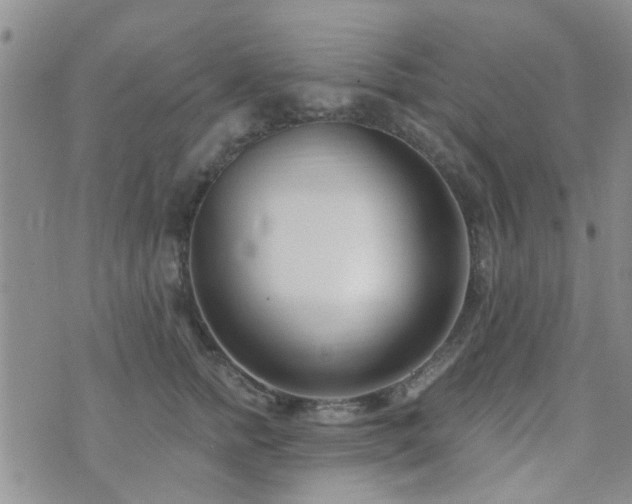 X0000073710758200608031239