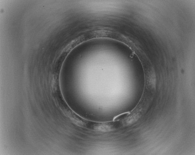 X0000073710759200608031239