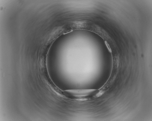 X0000073710760200608031239