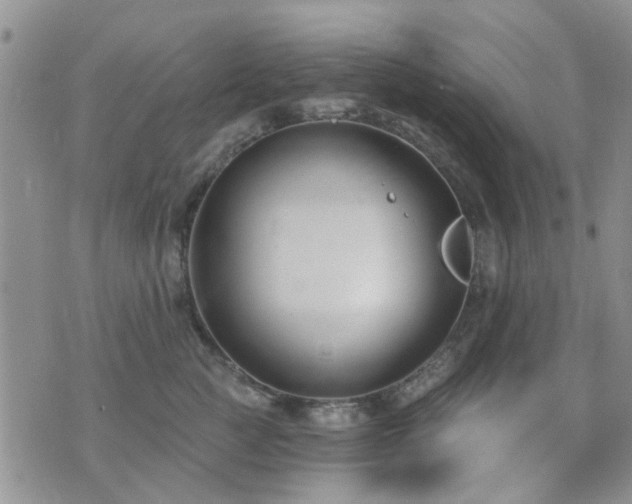 X0000073710761200608031239