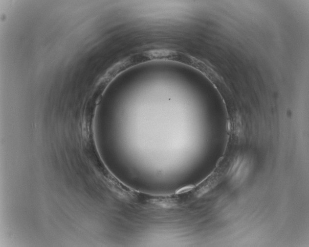 X0000073710763200608031239