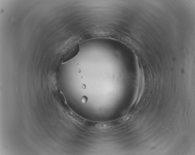 X0000073710764200608031239