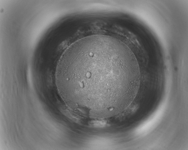 X0000073710765200608031239