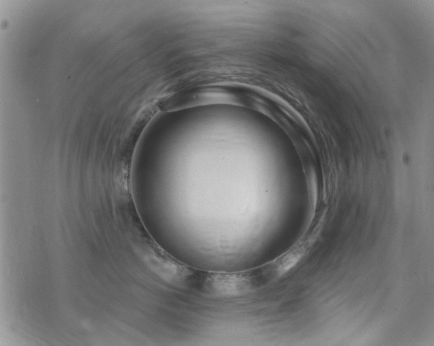 X0000073710766200608031239