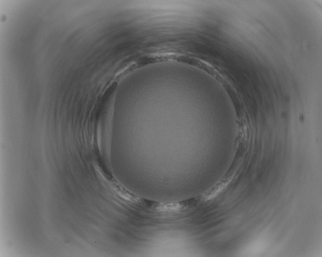 X0000073710767200608031239