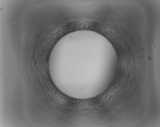 X0000073710769200608031239