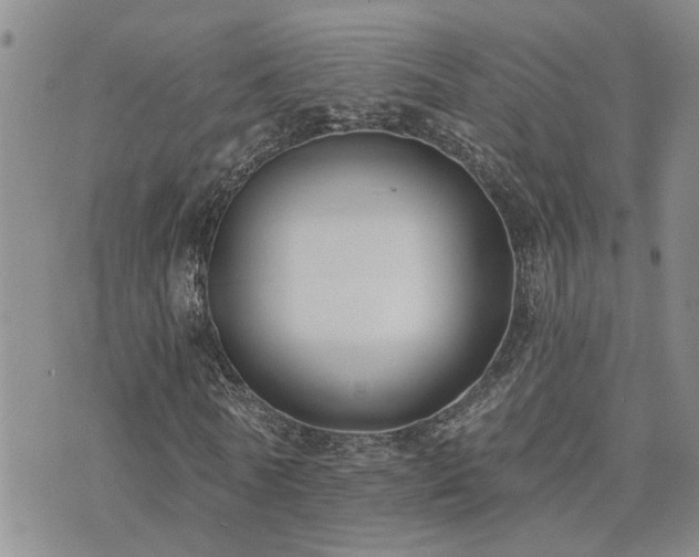 X0000073710770200608031239