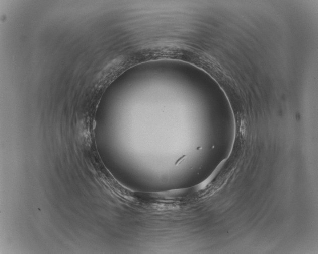 X0000073710771200608031239