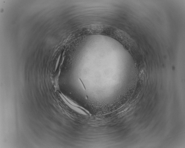 X0000073710772200608031238