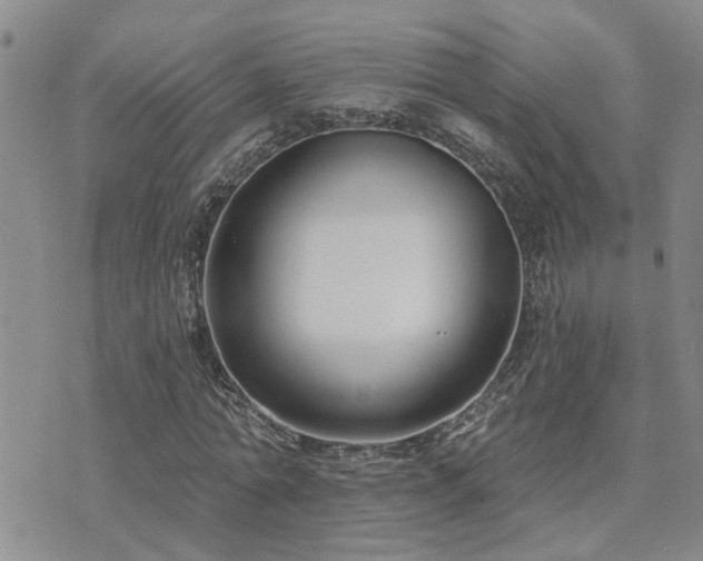 X0000073710774200608031238