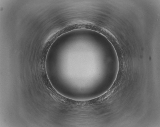 X0000073710775200608031238