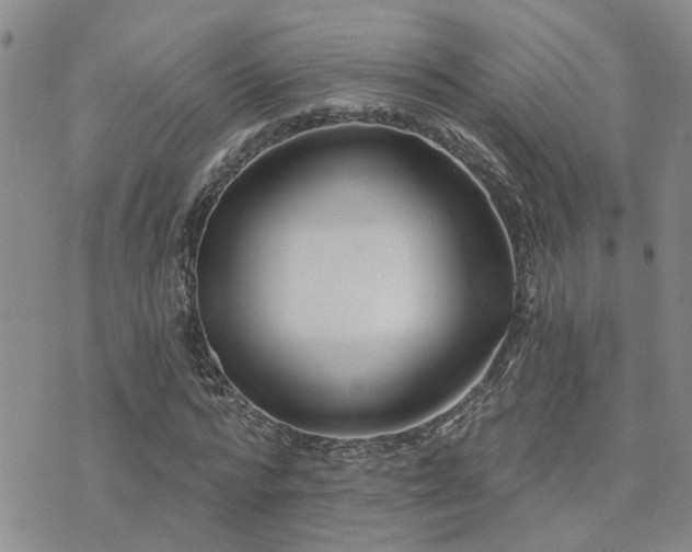 X0000073710776200608031238