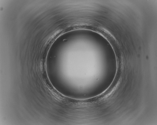 X0000073710777200608031238