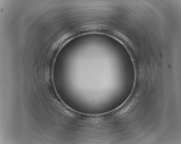 X0000073710778200608031238