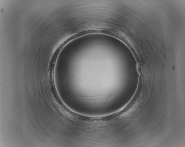 X0000073710779200608031238