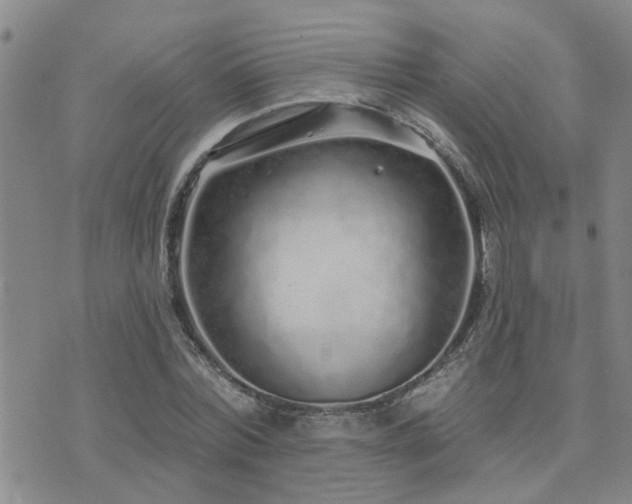 X0000073710780200608031238