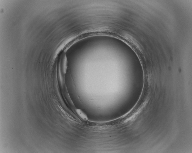 X0000073710781200608031238