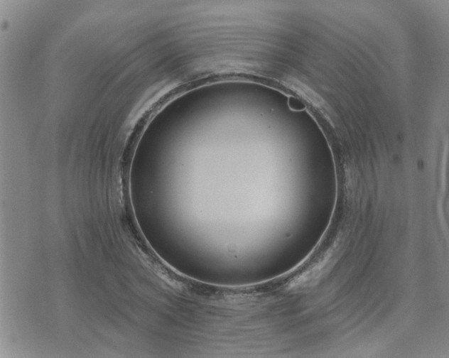 X0000073710782200608031238