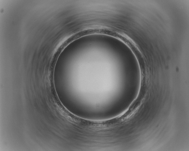 X0000073710783200608031238