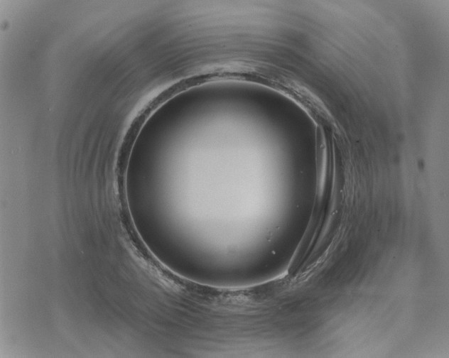 X0000073710784200608031238