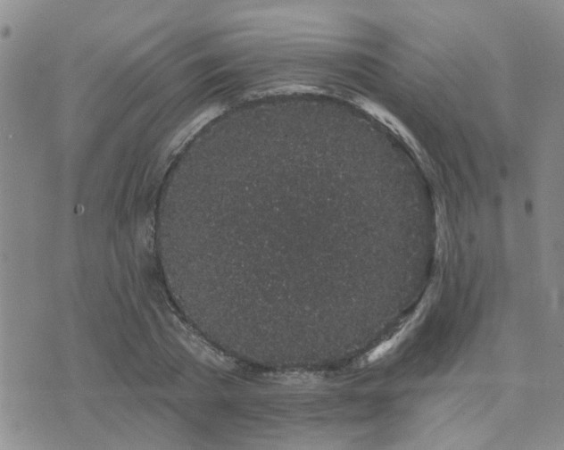 X0000073710785200608031238