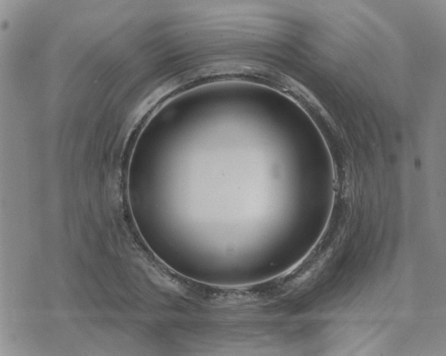 X0000073710786200608031238