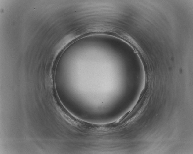 X0000073710787200608031238