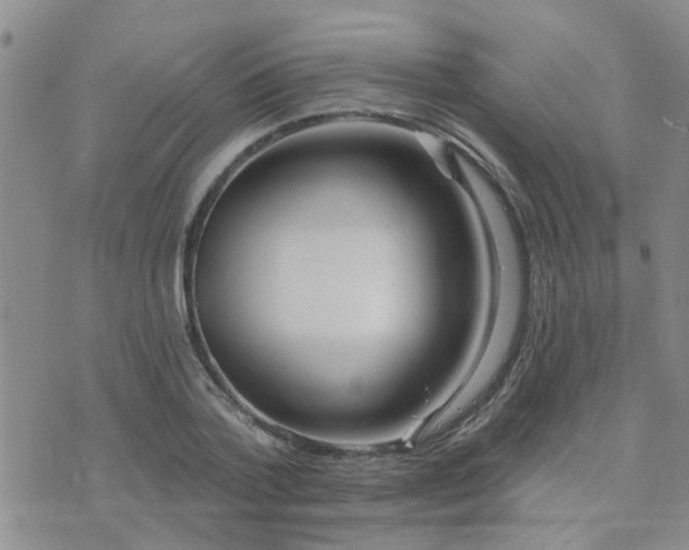 X0000073710788200608031238