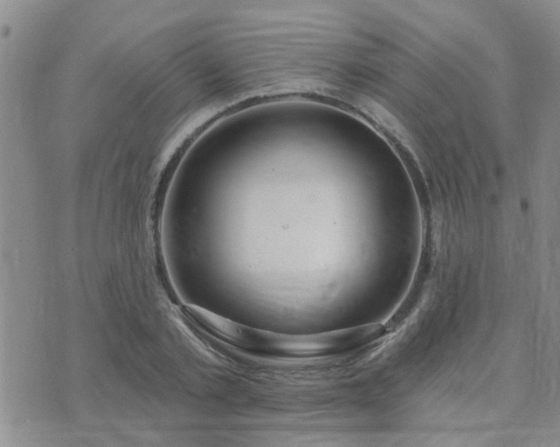 X0000073710789200608031238