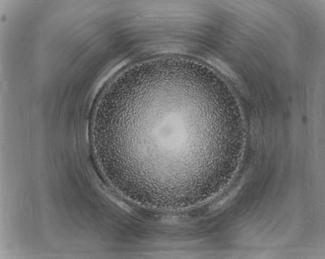 X0000073710790200608031238