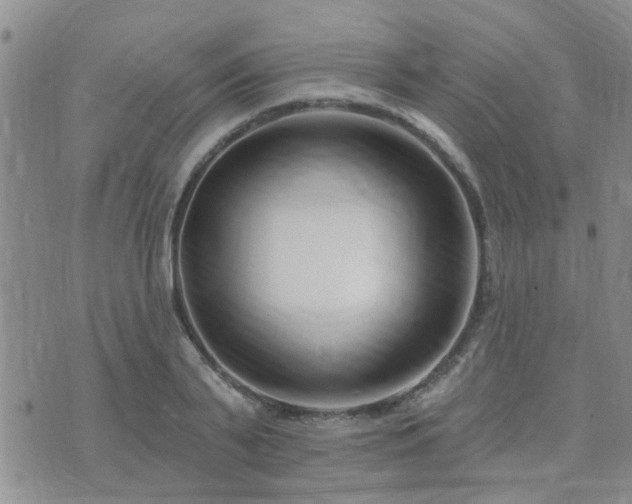 X0000073710791200608031238