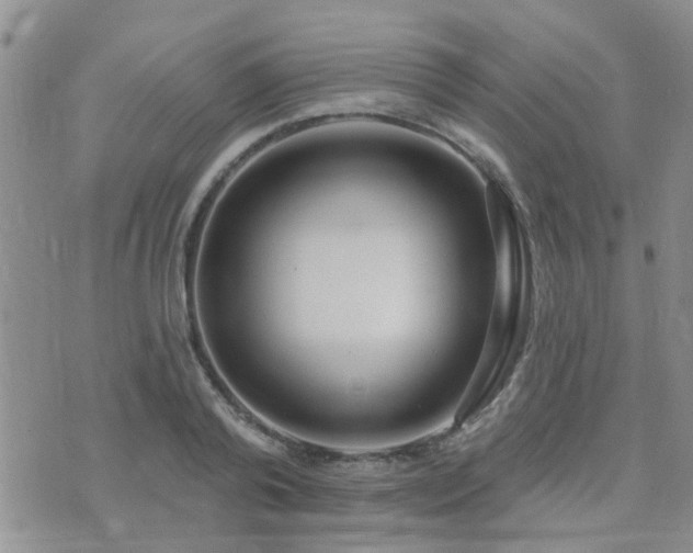 X0000073710792200608031238