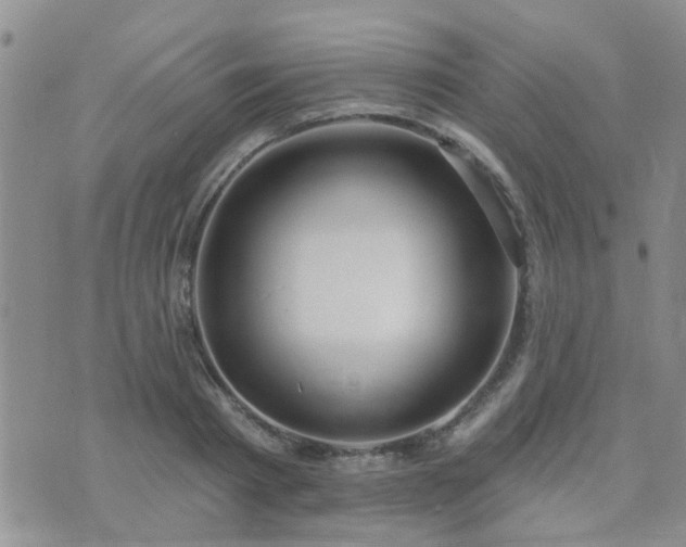 X0000073710793200608031238