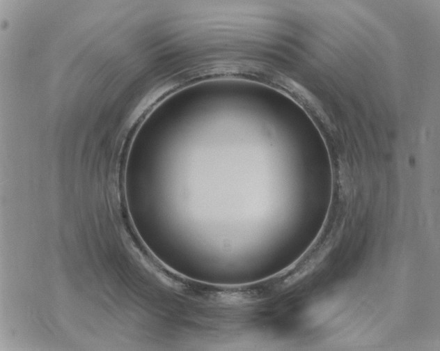 X0000073710794200608031238