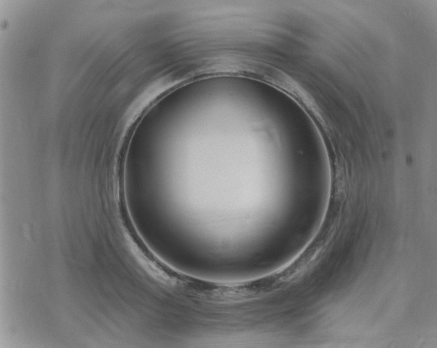 X0000073710795200608031238