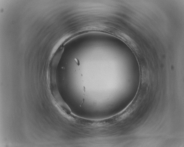 X0000073710796200608031238